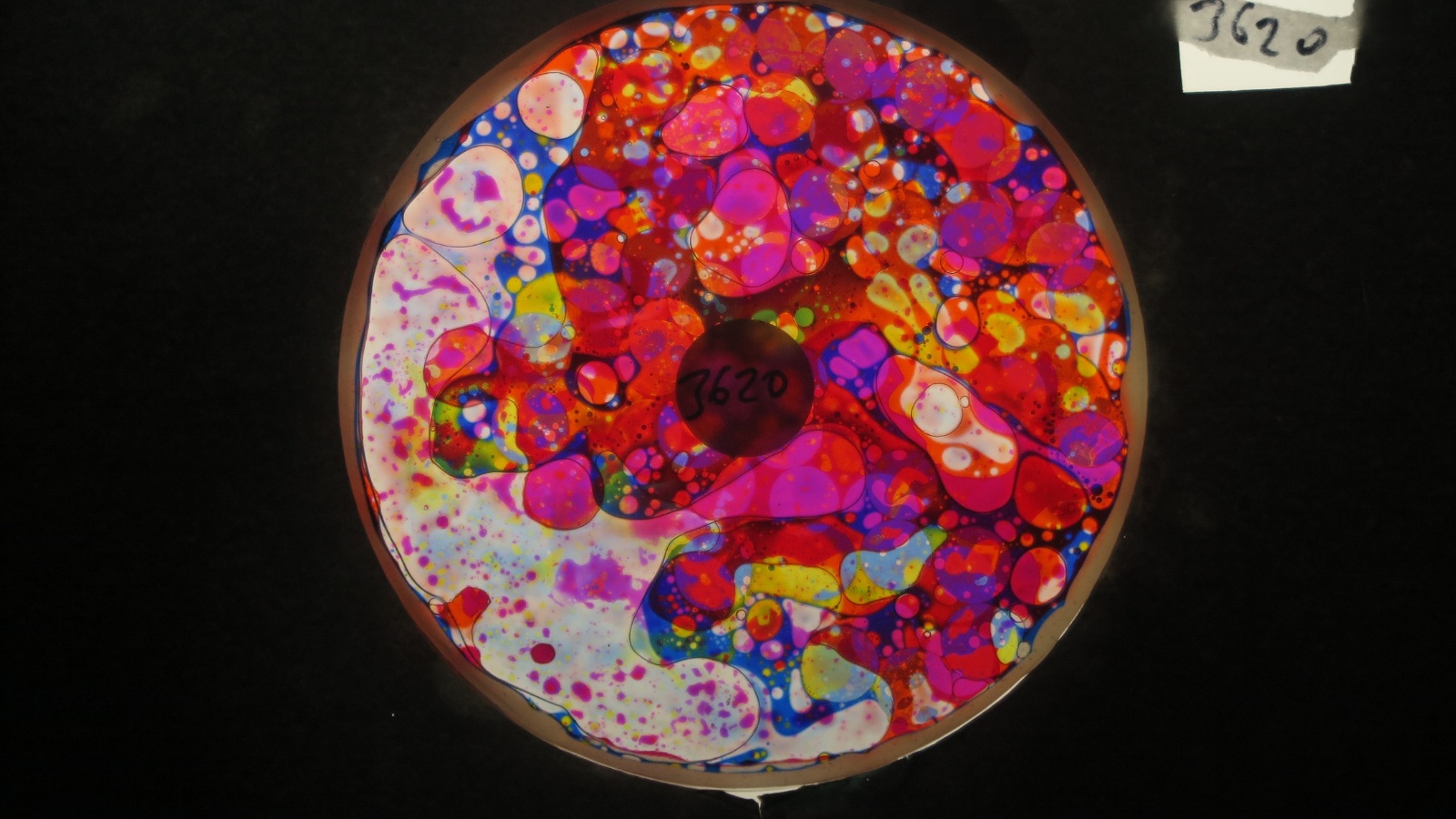 BV3620 bubble vision oil wheel